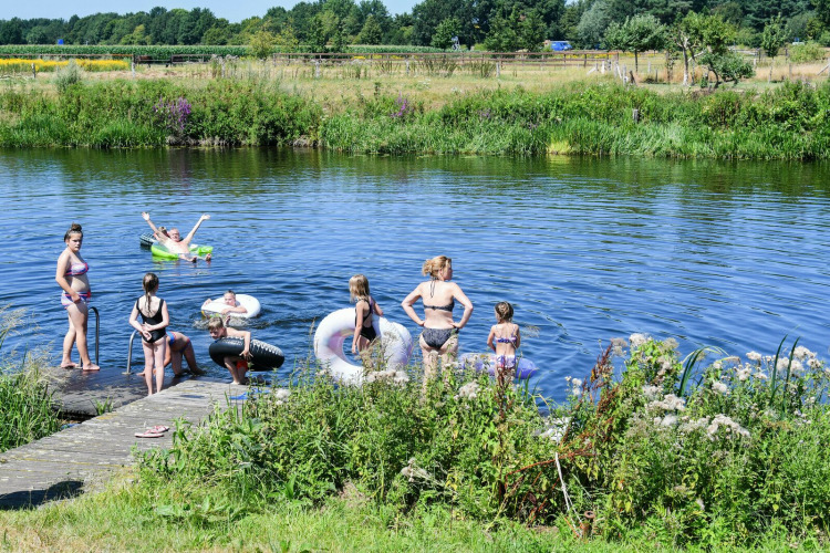 Kinderen en volwassenen zwemmen en spelen met zwembanden aan een groene rivier onder de warme zon.