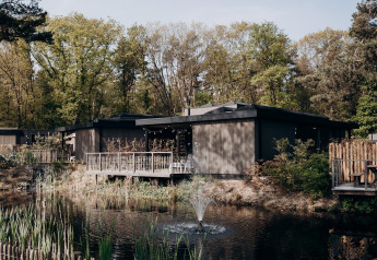 En moderne lodge ved en dam med springvand, omgivet af træer og natur på en solrig dag i skoven.