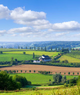 Vista panorámica de campo verde y ondulado con alojamientos glamping y campos bajo un cielo azul despejado.