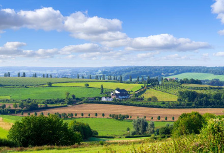 Vista panorámica de campo verde y ondulado con alojamientos glamping y campos bajo un cielo azul despejado.