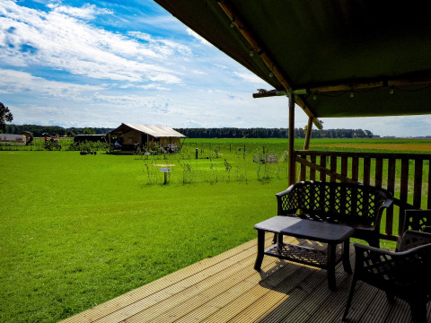 Vue depuis la terrasse d’une tente safari à Boerderijcamping de Hinde aux Pays-Bas, entourée de champs verts.