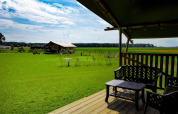 Uitzicht vanaf het terras van een safaritent op Boerderijcamping de Hinde in Nederland, met groene velden.