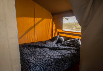 Interior view of a safari tent with double bed and blanket at Camping Catsop, Netherlands.