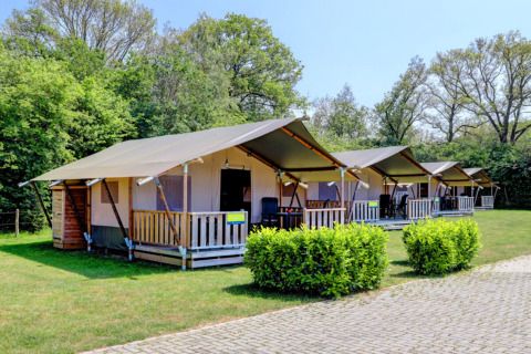 Reihe von Safarizelten im Grünen im Camping Dal van de Mosbeek, Overijssel, Niederlande.