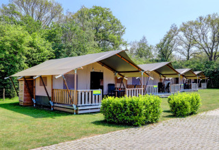 Rangée de tentes lodge au Camping Dal van de Mosbeek, Overijssel, Pays-Bas, entourée de verdure.
