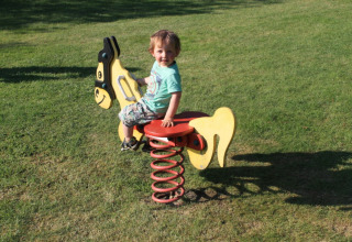 Bambino piccolo gioca su un cavallo a molla al Camping Dal van de Mosbeek, Overijssel, Paesi Bassi.