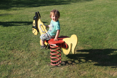 Bambino piccolo gioca su un cavallo a molla al Camping Dal van de Mosbeek, Overijssel, Paesi Bassi.