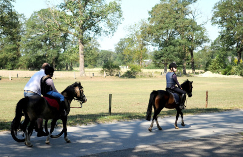 Deux enfants montent des poneys avec un adulte au Camping Dal van de Mosbeek, parc de vacances à Overijssel.