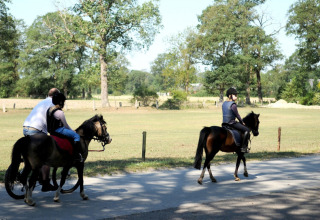 Due bambini cavalcano pony con un adulto al Camping Dal van de Mosbeek, parco vacanze in Overijssel, Olanda.