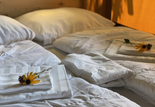 Letto rifatto con lenzuola bianche e girasoli in una tenda safari al Camping Dal van de Mosbeek, Paesi Bassi.