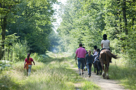 Personas caminando y montando a caballo por un sendero verde cerca de Angers, Centre-Val de Loire, Francia, en verano.