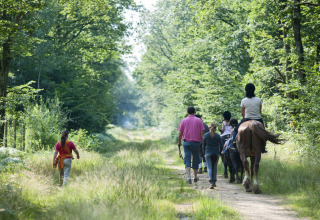 Mensen wandelen en paardrijden op een zomers bospad bij Angers, Centre-Val de Loire, Frankrijk.
