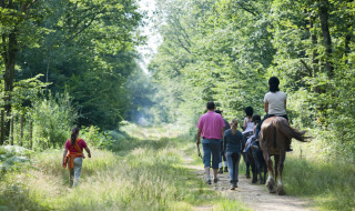 Personas caminando y montando a caballo por un sendero verde cerca de Angers, Centre-Val de Loire, Francia, en verano.