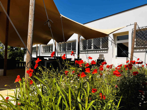 Amapolas floreciendo frente a una tienda glamping en Per Amore del Vino, Italia, con toldos y edificio moderno.