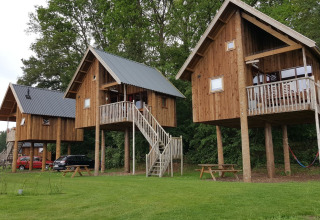 Casas en los árboles sobre pilotes en Camping de Koeksebelt, Países Bajos, rodeadas de vegetación.