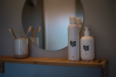 Badkamerplank met verzorgingsproducten en tandenborstels voor een spiegel bij Wellness Lodge bij Ackerlodges Ruinerwold.