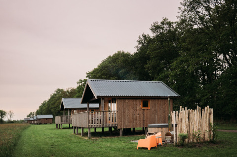 Hyggelige wellness-lodges hos Ackerlodges Ruinerwold BV i Holland, omgivet af grøn natur og træer.