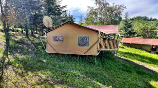 Tienda glamping tipo safari en una colina verde, rodeada de árboles y cielo azul en un día soleado.