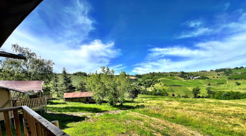 Vista desde una tienda safari glamping en Per Amore del Vino, Italia, con viñedos y cielo azul.