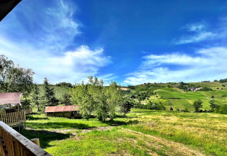 Udsigt fra en safari glamping-telt ved Per Amore del Vino i Italien med grønne marker og blå himmel.
