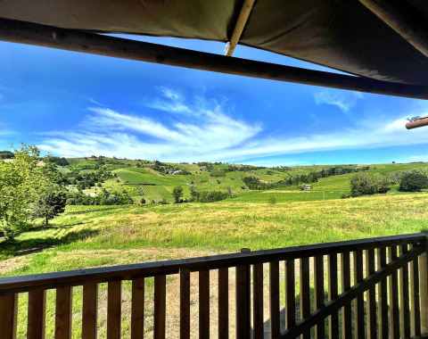 Blick von einem Safari-Zeltbalkon auf grüne Hügel und Weinberge bei Per Amore del Vino in Italien.