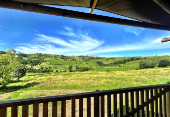 Blick von einem Safari-Zeltbalkon auf grüne Hügel und Weinberge bei Per Amore del Vino in Italien.