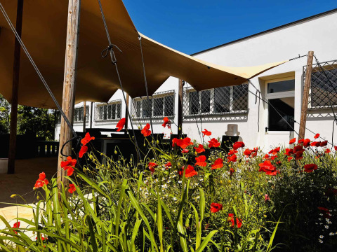 Zona exterior en Per Amore del Vino, parque vacacional en Lombardía, Italia, con flores rojas y toldos bajo el sol.
