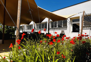 Außenbereich im Ferienpark Per Amore del Vino in der Lombardei mit roten Blumen und Sonnensegeln.
