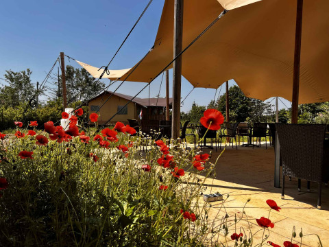 Außenterrasse mit roten Mohnblumen, Sitzplätzen und Sonnensegeln im Per Amore del Vino, Lombardei, Italien.
