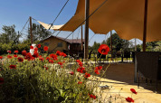 Terrasse extérieure avec coquelicots rouges, chaises et toiles d'ombrage à Per Amore del Vino, Lombardie, Italie.