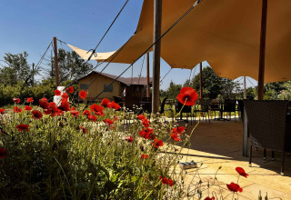 Außenterrasse mit roten Mohnblumen, Sitzplätzen und Sonnensegeln im Per Amore del Vino, Lombardei, Italien.