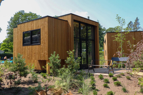 Moderne træ-tiny house-lodge med store vinduer og terrasse ved De Hooge Veluwe, Holland, omgivet af natur.