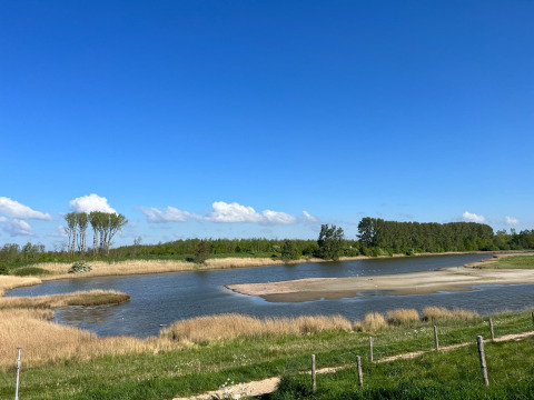 Landschaft mit ruhigem See und Bäumen im Ferienpark de Zeeuwse Parel, Zeeland, Niederlande.