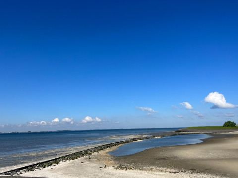 Extenso paisaje costero en Zeeland, Países Bajos, tomado en Vakantiepark de Zeeuwse Parel bajo un cielo azul claro.