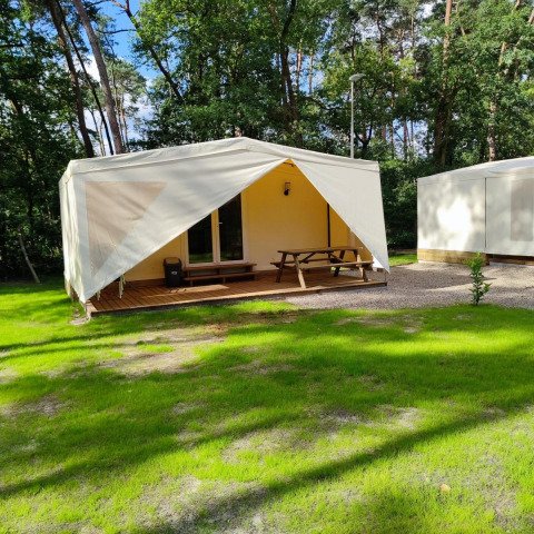 Glamping Coco Sweet Lodge mit Terrasse und Picknicktisch, umgeben von Bäumen und grünem Rasen im Sonnenschein.