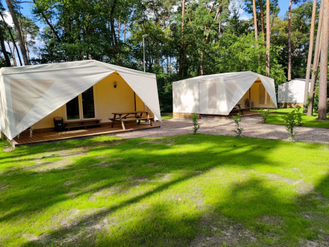 Twee Glamping Coco Sweet-lodges bij Bospark De Brenkberg in Nederland tussen gras en bomen.