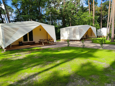 Dos cabañas Glamping Coco Sweet en Bospark De Brenkberg, Países Bajos, rodeadas de césped y árboles.