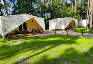 Dos cabañas Glamping Coco Sweet en Bospark De Brenkberg, Países Bajos, rodeadas de césped y árboles.
