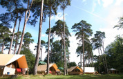 Campingplads med telte under høje træer på Huttopia Rambouillet feriepark i Île de France, Frankrig.