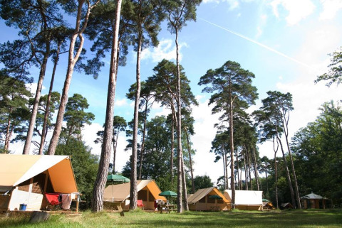 Campingplads med telte under høje træer på Huttopia Rambouillet feriepark i Île de France, Frankrig.