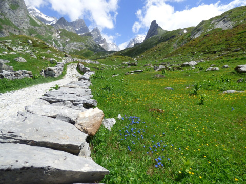 Sentiero di pietre con prati fioriti vicino a Bozel, Francia, e montagne verdi e cime innevate all’orizzonte.
