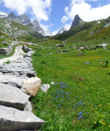 Sendero de piedras junto a un campo verde y flores silvestres cerca de Bozel, Francia, con montañas al fondo.