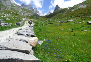 Mountain path lined with stones and wildflowers near Bozel, France, with peaks and green meadows visible.