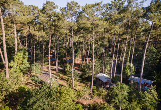 Luftfoto af hytter blandt høje fyrretræer i ferieparken Huttopia Landes Sud i Nouvelle-Aquitaine, Frankrig.