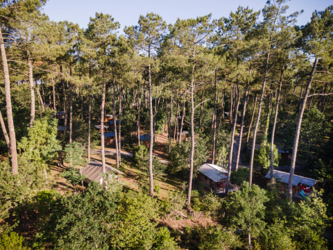 Vista aérea de cabañas entre altos pinos en el parque de vacaciones Huttopia Landes Sud en Nouvelle-Aquitaine, Francia.