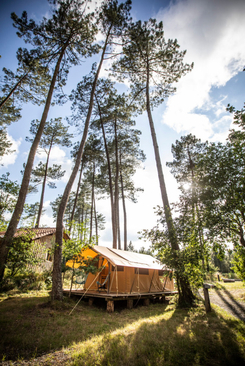Una tienda de glamping en Huttopia Landes Sud, Nouvelle-Aquitaine, Francia, rodeada de altos pinos y luz solar.