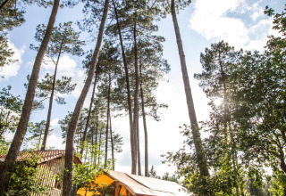 Een glamping tent bij Huttopia Landes Sud vakantiepark in Nouvelle-Aquitaine, Frankrijk, tussen hoge bomen.