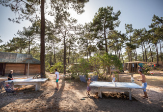 Huéspedes del parque vacacional juegan al ping-pong entre pinos en Huttopia Lac de Carcans, Nouvelle-Aquitaine, Francia.