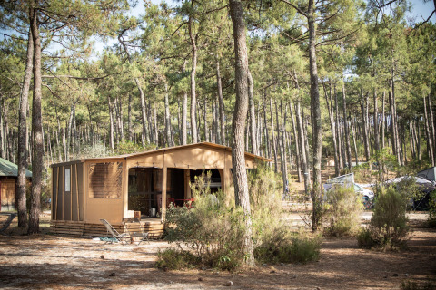 Una acogedora cabaña rodeada de altos pinos en Huttopia Lac de Carcans, parque vacacional en Nouvelle-Aquitaine.
