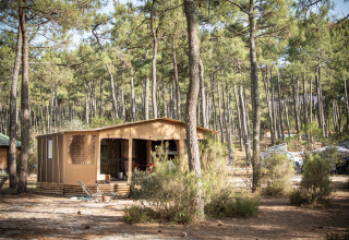 A cozy cabin among tall pine trees at Huttopia Lac de Carcans holiday park in Nouvelle-Aquitaine, France.